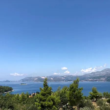 Tonina, Friends And Family * Cavtat